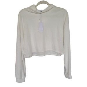 ANTISTAR CROPPED HOODIE large